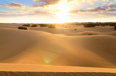阳光下的沙漠风光景色