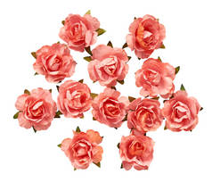 绽放的粉红色的花朵, 装饰植物, 浪漫的心情.