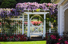 植物园白色栅栏门与盛开的鲜花