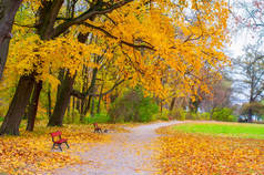 秋天的风景与红色的长椅在公园