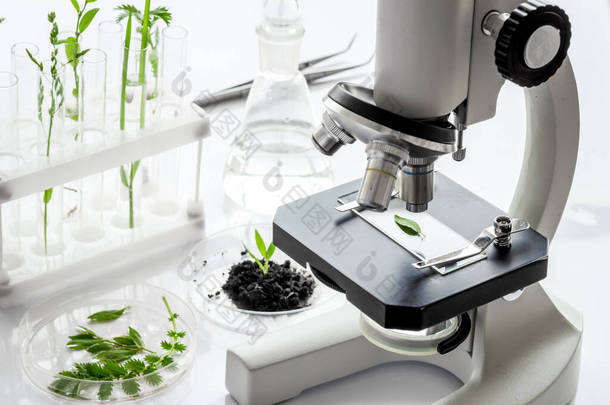 生物技术实验室，桌上有植物和显微镜.