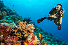 水肺潜水员探索珊瑚礁显示 ok 的手势