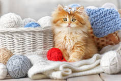 一只带条纹的小猫咪坐在装有纱线球的篮子里