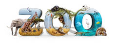 动物园字在3d 与非洲自然野生动物和水族馆概念场景 