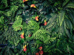 时尚的绿色丛林夏季背景-在异国情调的复古色调.
