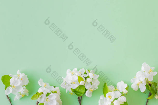 平面的构图，绿色背景上有春天的白花