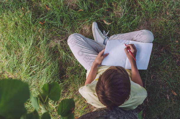 坐在草地上的男孩拿着铅笔靠近笔记本的顶视图 