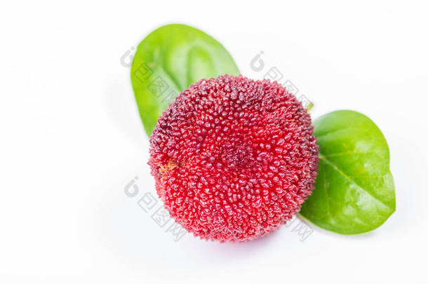 红色和成熟的甜蜡莓