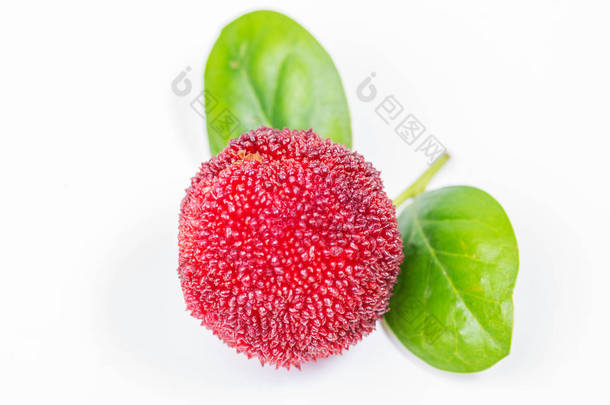 红色和成熟的甜蜡莓