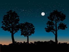夜景与树木和月光的剪影
