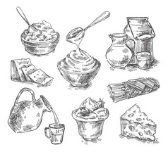 手工绘制的乳制品，牛奶，奶酪。素描