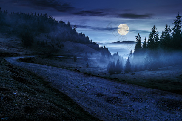 道近山区夜间的迷雾森林