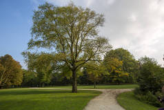 在黄金时间,在公园的一条蜿蜒的小路旁,树