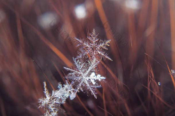 彩色背景宏上的雪花美丽