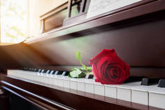 教会与温暖的光，在周日早上在钢琴上的红玫瑰