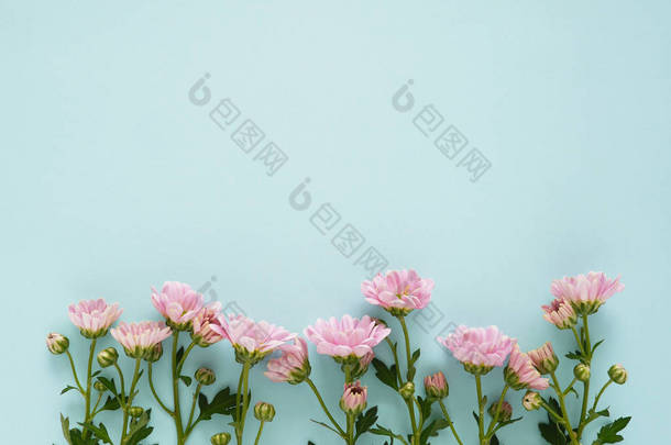 美丽的花朵粉红色的花朵纹理图案在蓝色背景上