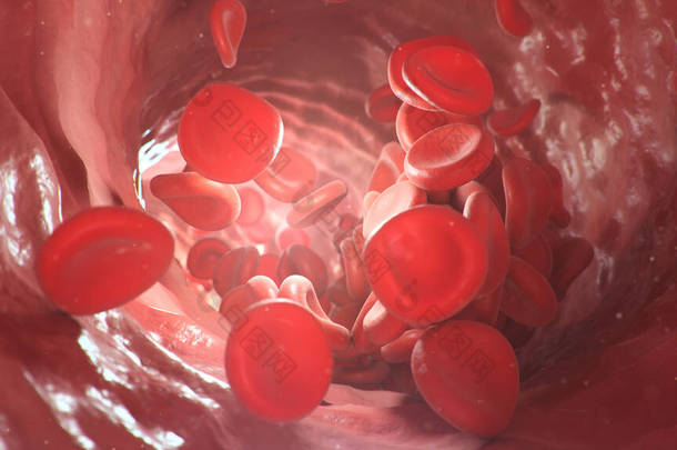 3D显示动脉、静脉内的红细胞。活体体内的血液流动。科学和医学微生物概念。富含氧气和重要营养物质