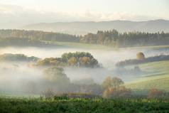 雾蒙蒙的清晨,草地上,树木丛生,景色斑斓.斯洛伐克