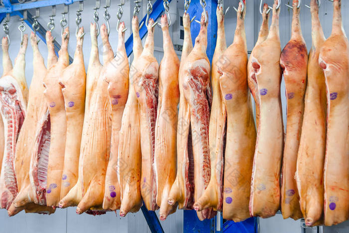 肉类工厂挂在钩子上的猪肉屠宰车间的猪肉壳