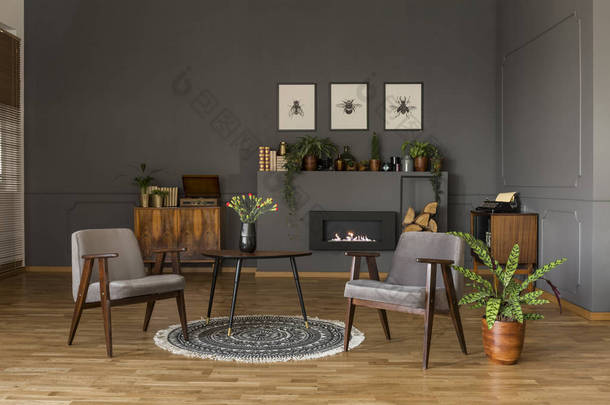 桌子上有花在地毯之间的灰色扶手椅在复古客厅内部与植物。真实照片