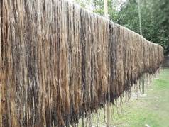 生黄麻纤维挂在阳光下晒干. 印度阿萨姆的黄麻种植。 黄麻被称为金纤维. 它是黄褐色的天然植物纤维.