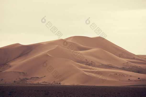 戈壁沙漠的沙丘上