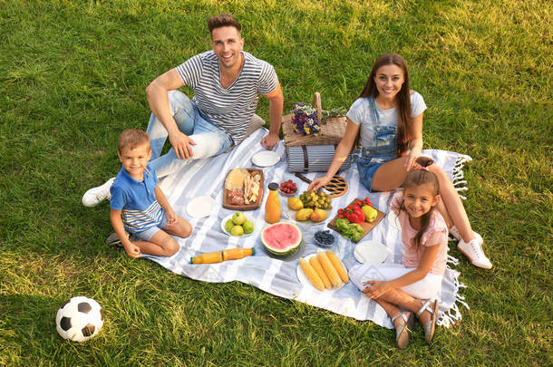 在阳光明媚的<strong>夏日</strong>，快乐的家庭在公园里野餐