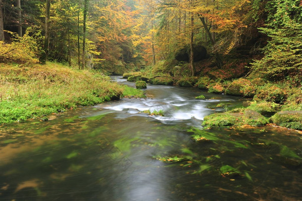 秋天的颜色河