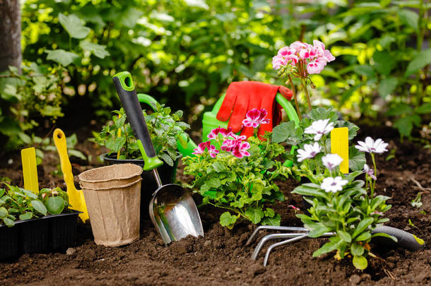 种植前花盆里的花和夏季花园的<strong>一些</strong>工具