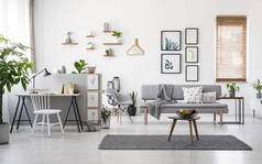 现代客厅内饰灰色装饰, 木制家具和画廊的最低限度的图片在白色的墙壁上