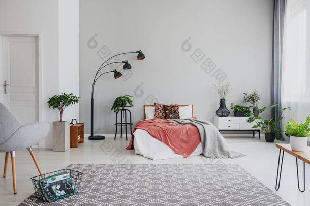 公寓内的扶手椅和地毯, 旁边有植物和台灯, 配有红床单。真实照片