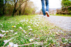 穿着牛仔裤和运动运动鞋的男人在春天走在一条小路上。专注于雏菊.