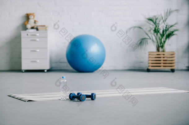 瑜伽垫, 哑铃, 塑料瓶<strong>水</strong>和健身球在客厅里
