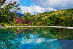 假日在美丽的豪华度假胜地。热带酒店的游泳池。美丽神奇的自然背景。热带绿树和花朵。豪华度假胜地。旅行和度假概念.
