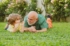孙子拥抱他的祖父。快乐的祖父和孩子孙子笑，并一起欢乐在夏天在大自然。夏天在草地上快乐的父亲和儿子.