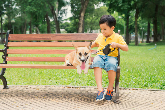 儿童和狗在户外亚洲小男孩享受和玩在公园与