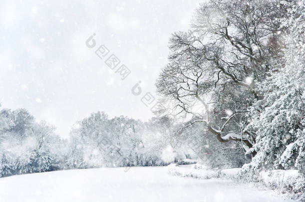 英国<strong>农村</strong>冬季大雪中的雪景