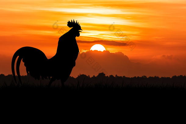 公鸡叫上的草坪上橘红色的日出高建群的剪影