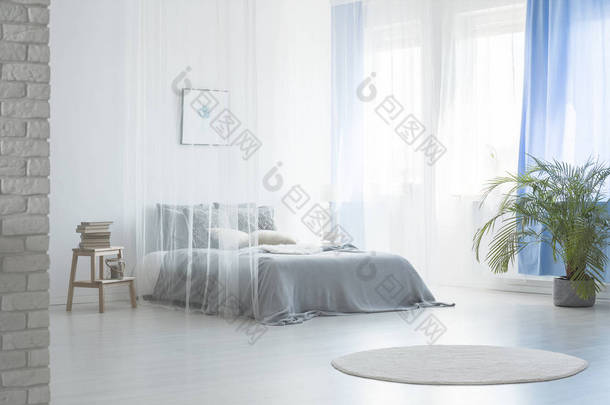 在蓝色和白色卧室的面纱下床附近的圆形地毯与植物和凳子。真实照片