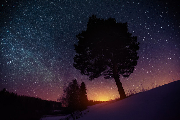 繁星点点的天空和冬天的森林