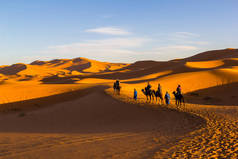 在撒哈拉沙漠, 在撒哈拉沙漠日落时, 骆驼骑行大篷车沿着沙丘 
