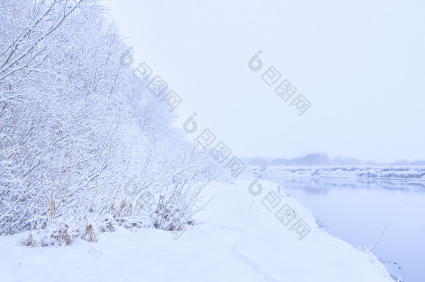 树木附近的河里下雪的时候