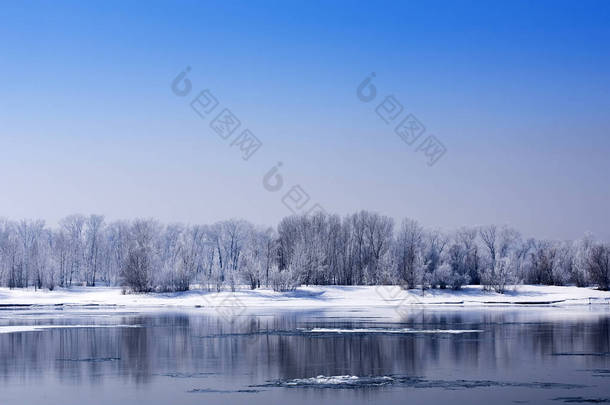 对被冻结的银行的树木覆盖着白霜河