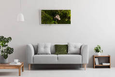 灰色沙发与枕头在明亮的客厅的真正的相片内部与书在木架子, 桌上的咖啡杯子和庭院在墙壁垂悬的框架