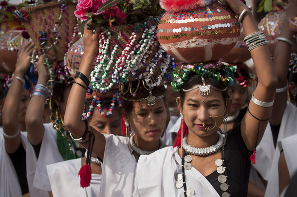 <strong>文化节</strong>目-大象节、 旺 2013年、 尼泊尔