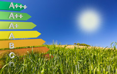 标签的欧盟节能型或能源效率的类定义在玉米地里