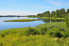 俄罗斯沃洛格达州、 borodaevskoye 湖夏季