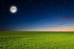 绿色的原野，在夜里