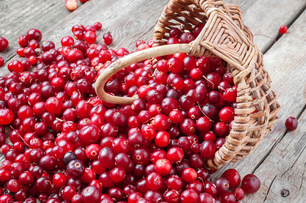 新鲜的红色小红莓和浆果在旧桌子上的篮子里