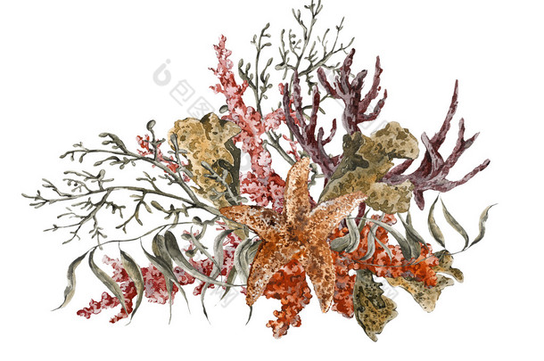 破旧的夏日<strong>复古</strong>水彩画海洋生物贺卡，印有海藻海星和珊瑚